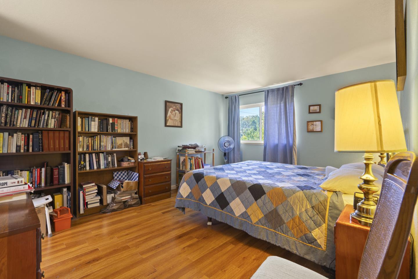 2012 Fan Palm CT