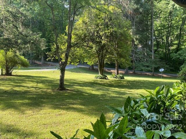 Mature trees shade a broad lawn bordered by leafy shrubs, with a road and woods beyond.