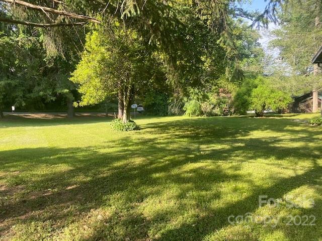 Broad green lawn shaded by mature trees, with dense woodland along the property edge.