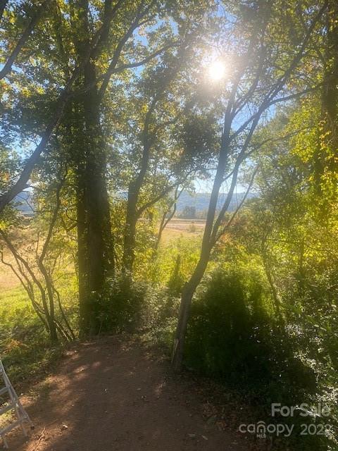 Wooded view toward an open field and distant hills, framed by trees and sunlight.