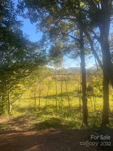 Wooded property with mature trees framing a sunlit grassy clearing.