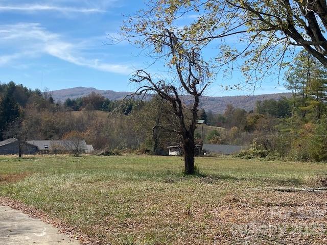 Open grassy lot with a mature tree and distant mountain views.