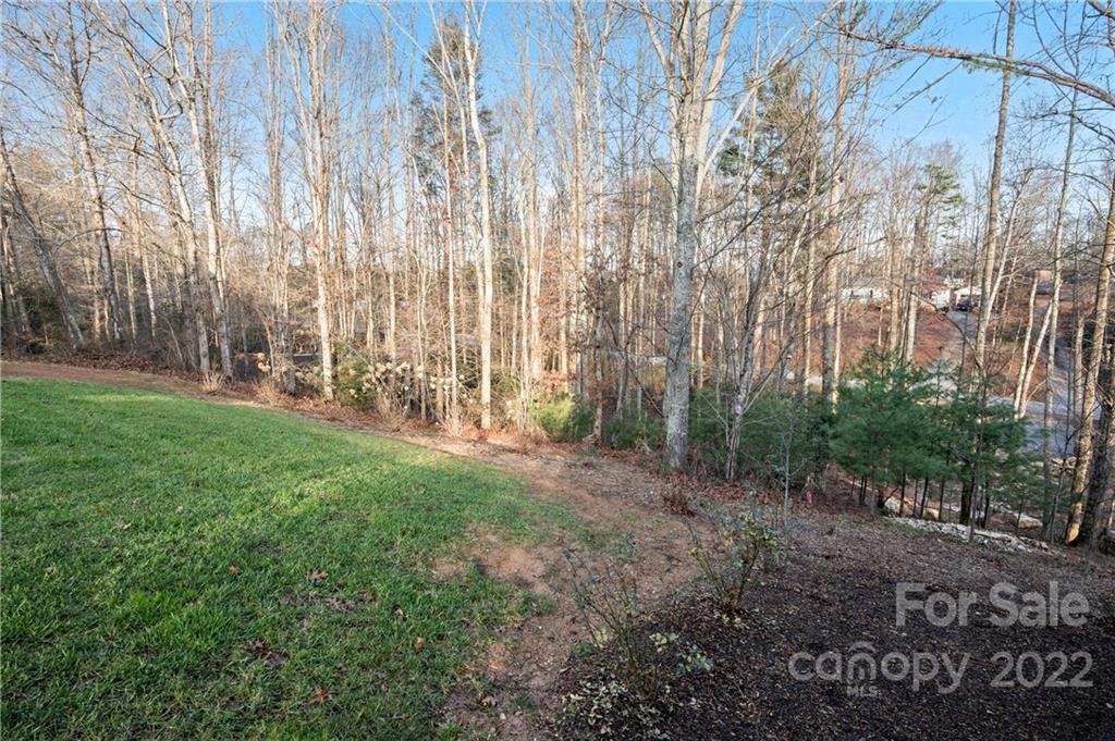 Sloping grassy yard beside bare woods, with a road visible through the trees.