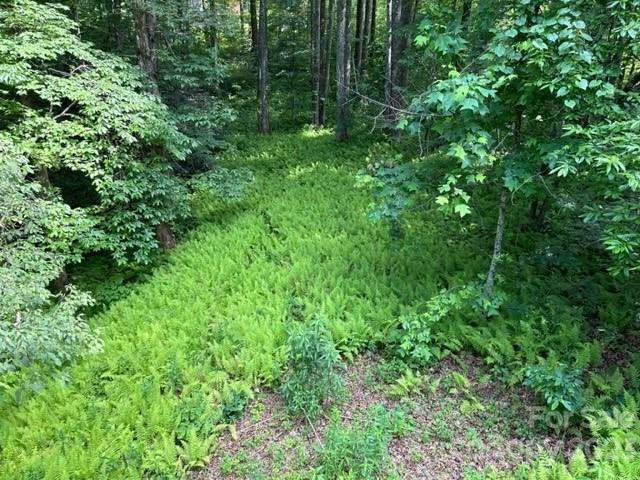 139 Panther Gap Road