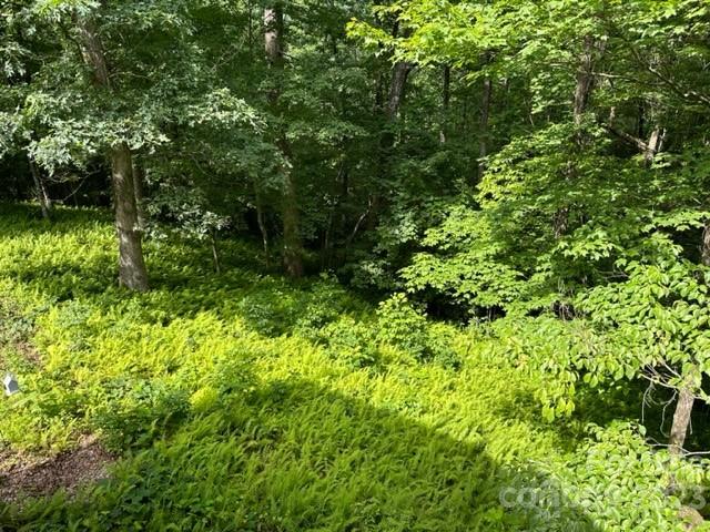 139 Panther Gap Road