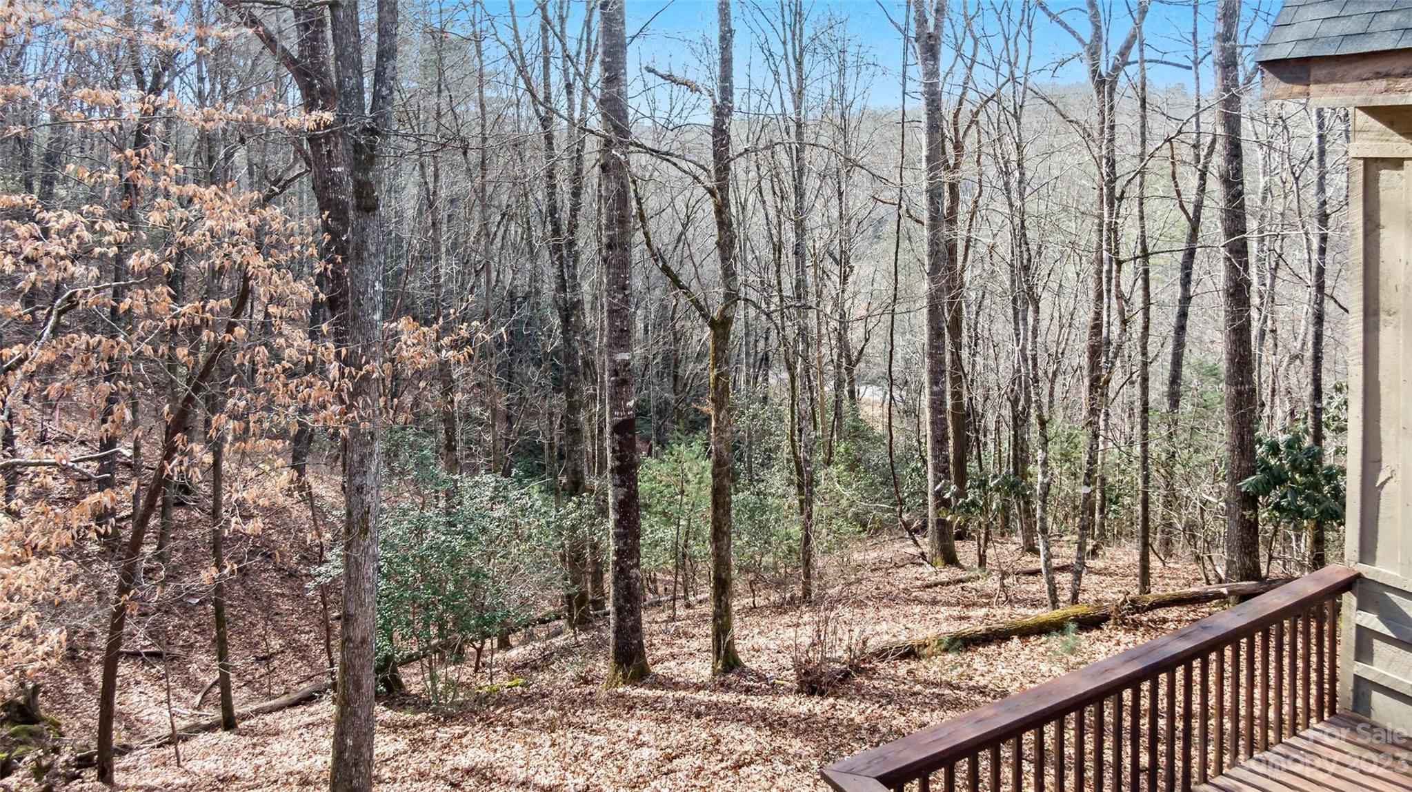 Wooded hillside viewed from a deck, with bare trees, evergreen undergrowth, and distant hills.