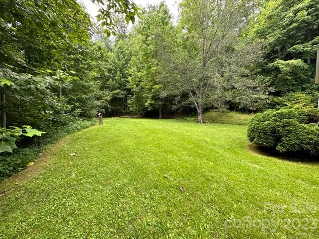 Mowed lawn bordered by mature trees and shrubs, with a small figure near the far edge.