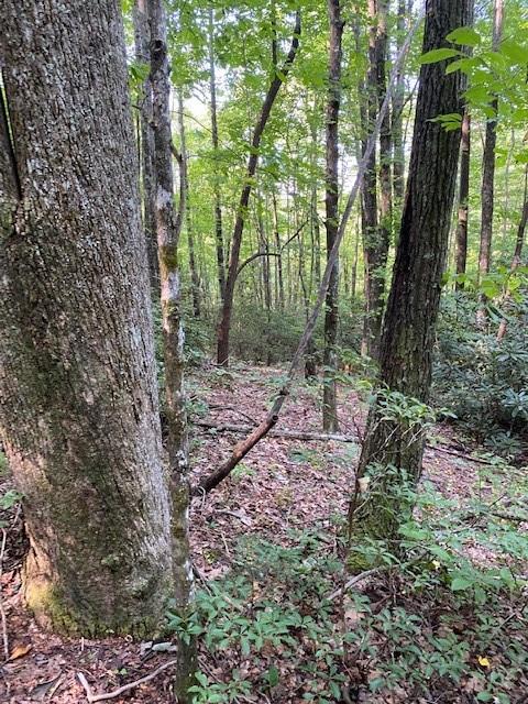 Lot 58 Lost Panther Road Unit: 58