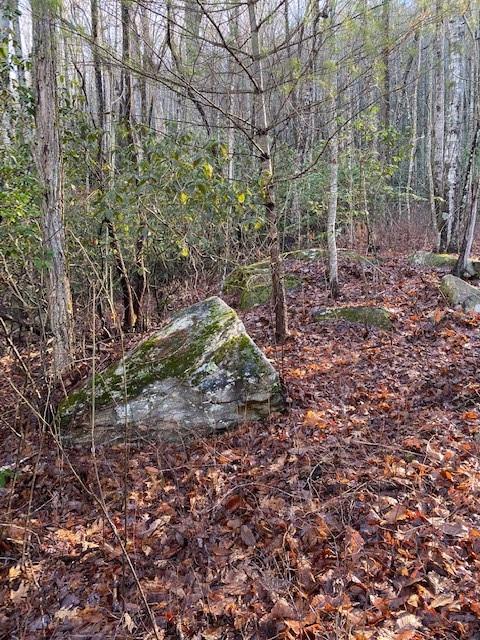 Lot 58 Lost Panther Road Unit: 58