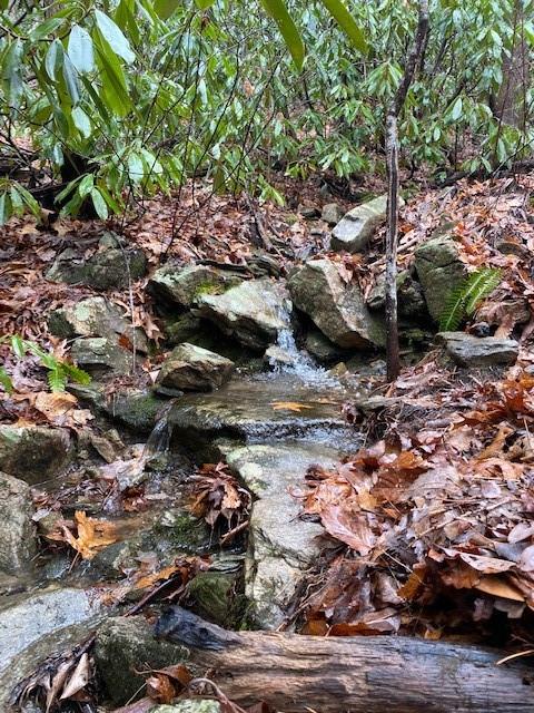 Lot 58 Lost Panther Road Unit: 58