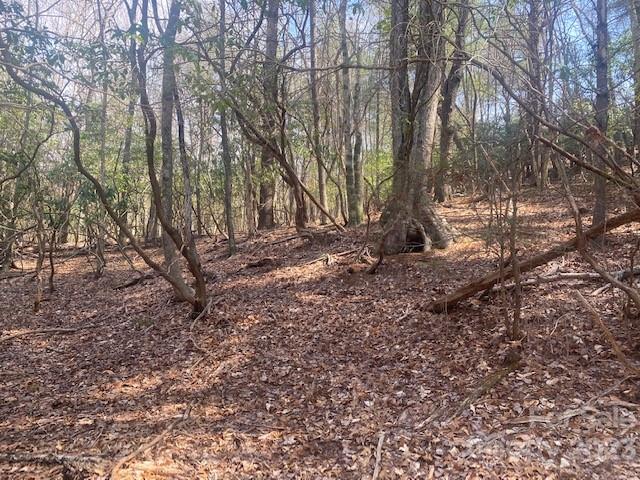 Wooded lot with mature trees and a leaf-covered, gently sloping forest floor.