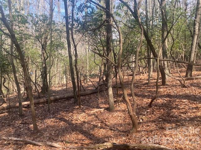 Wooded property lot with leaf-covered ground, bare trees, and fallen logs.