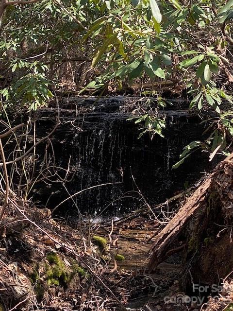 Small waterfall over a dark ledge, framed by leafy branches and exposed roots.