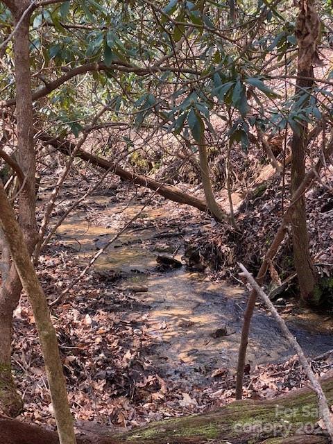 A shallow rocky creek winds through leaf-covered woods, framed by bare trees and fallen branches.