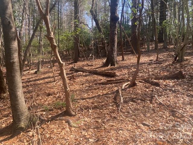 Wooded lot with mature trees and a leaf-covered forest floor.