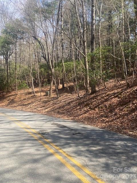 Two-lane road curves beside a wooded, leaf-covered slope.