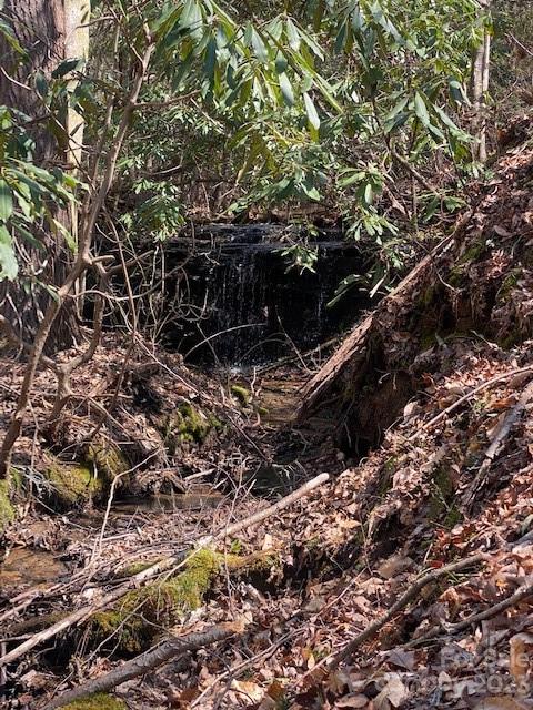 Woodland creek cascading over rocks beneath dense foliage and fallen branches.