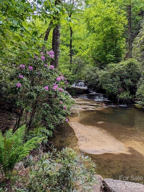 Wooded creek with a small cascade, sandy bank, and flowering shrubs along the shore.