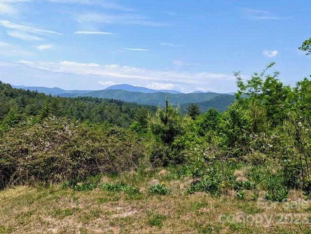 Brush-covered vacant lot with distant forested mountain ridges.