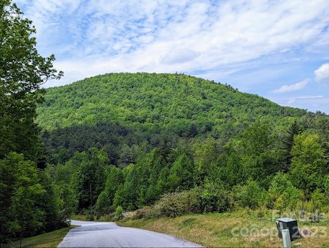 Wooded mountain rises beyond a curving paved road, with a mailbox beside the grassy roadside.
