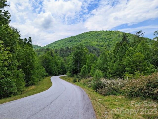Paved road curving through wooded land toward a green mountain.