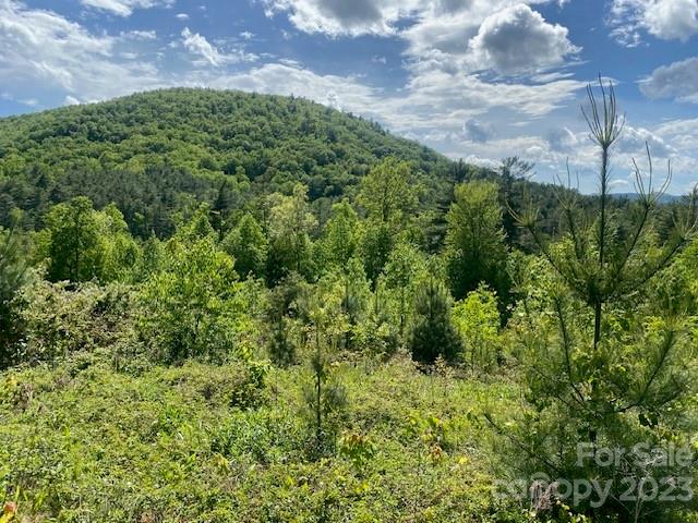 Wooded lot with dense green growth and a forested mountain in the distance.