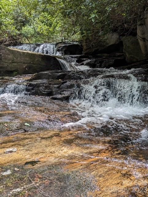 Wooded stream cascading over dark rock ledges and a broad golden-brown rock shelf.