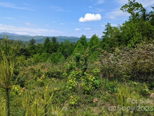 Wooded vacant lot with distant mountain views beneath a blue sky.