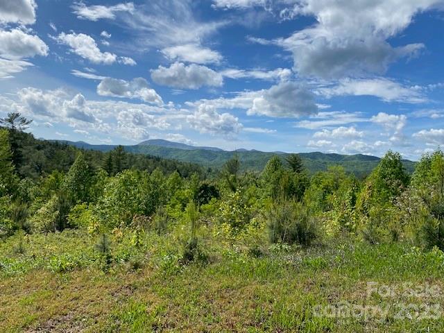 Vacant lot with brush and trees overlooking a range of forested mountains.