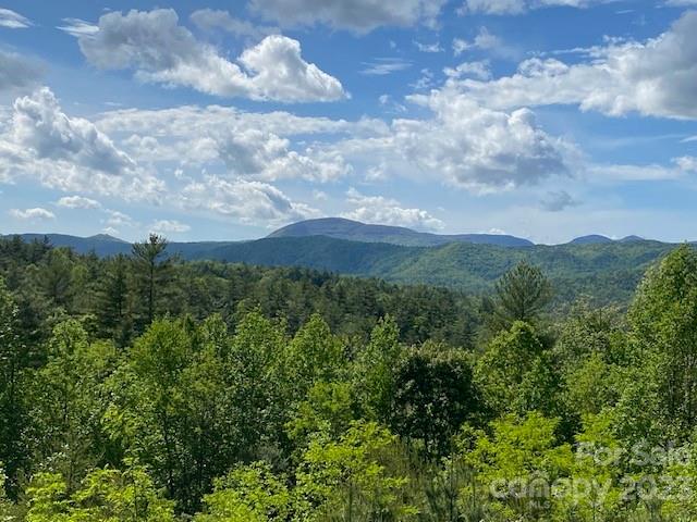 Wooded mountain ridges rise beyond dense green trees beneath a partly cloudy sky.