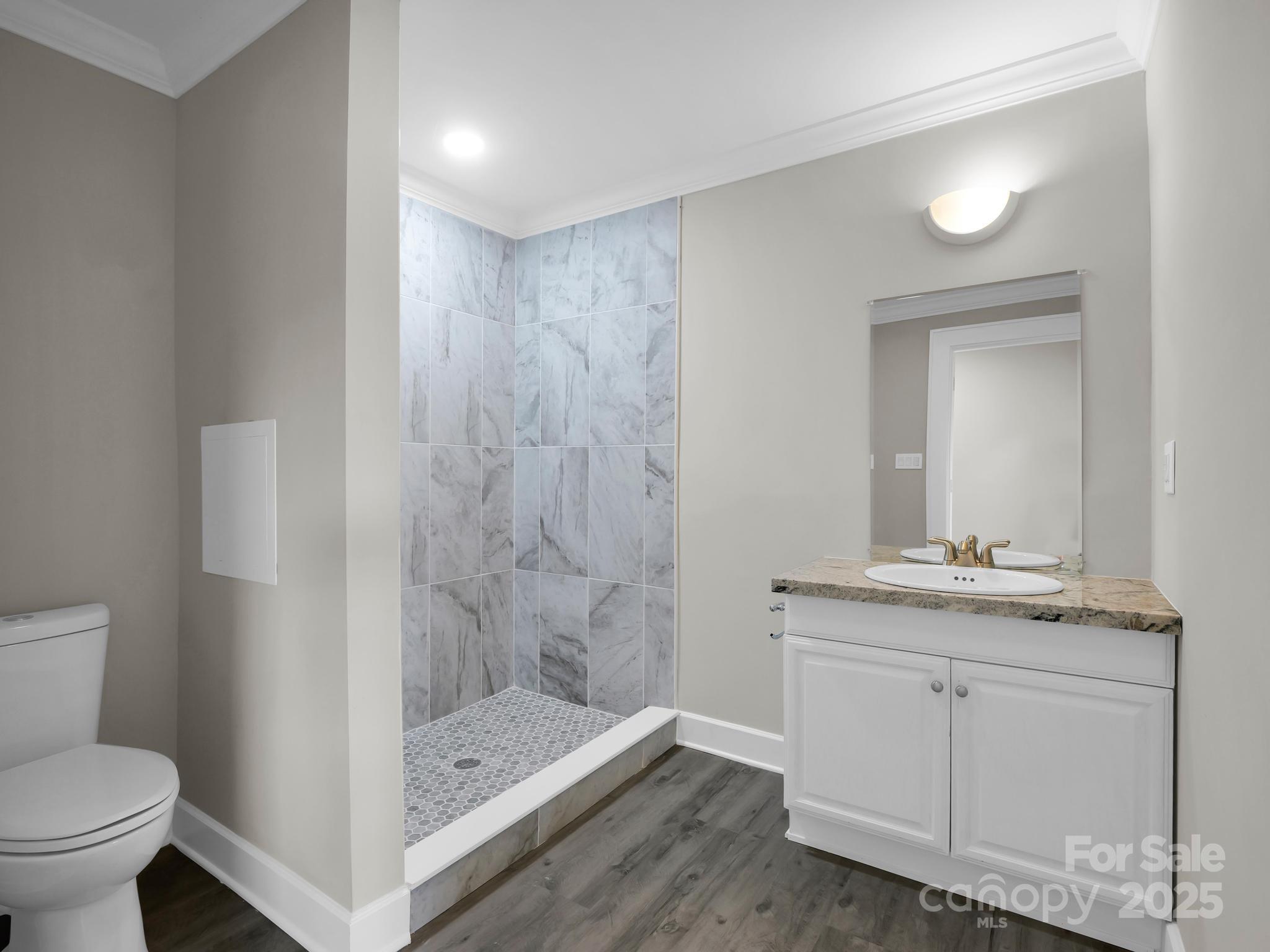 Bathroom with a tiled walk-in shower, white vanity, granite countertop, and gray wood-look flooring.