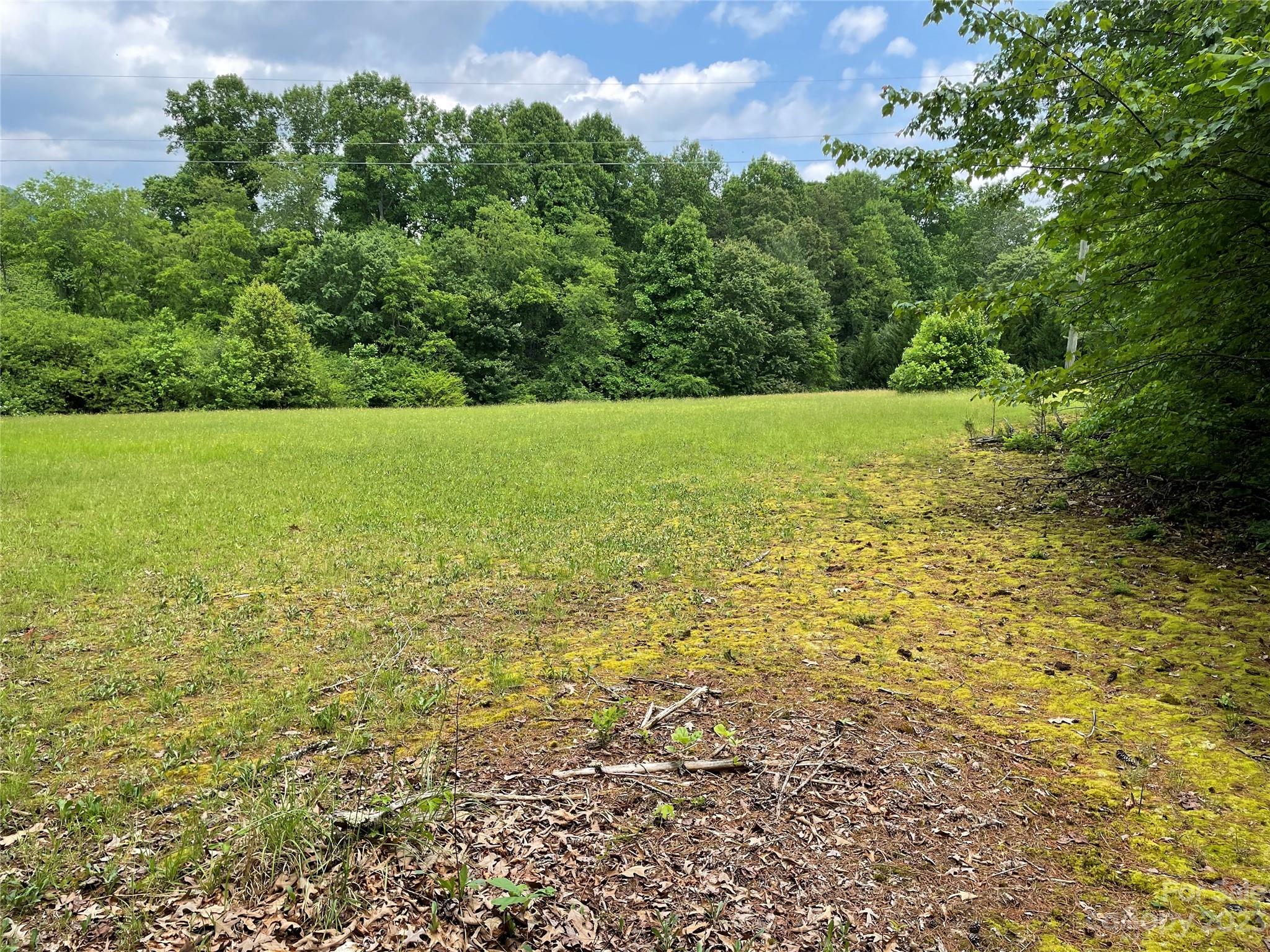 Open grassy clearing bordered by dense woods, with mossy ground and utility lines overhead.