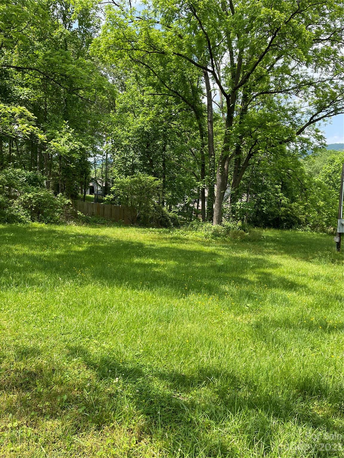 Grassy yard beneath mature trees, with dense woods and a wooden fence behind it.