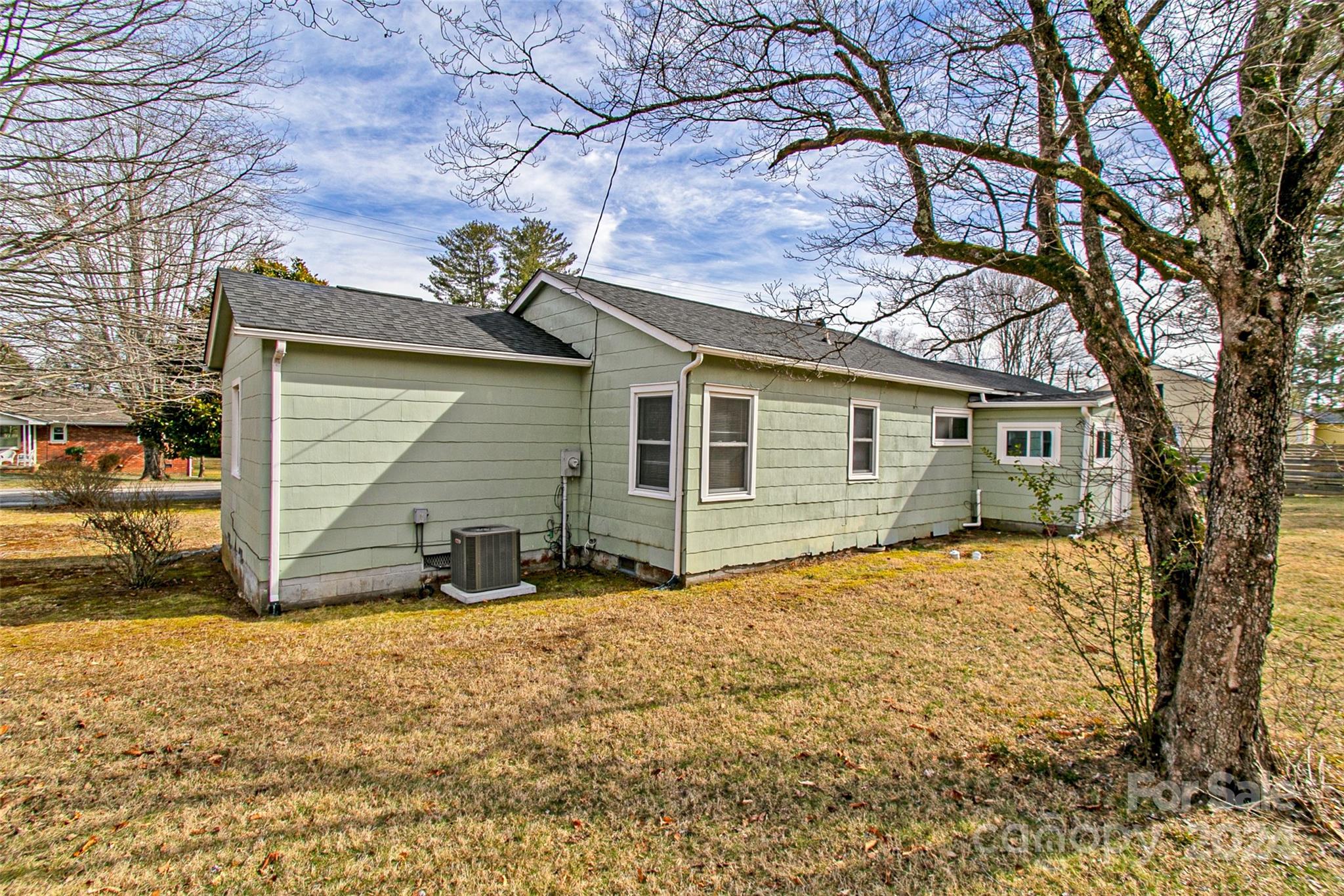 Pale green single-story house with white-trimmed windows, an outdoor HVAC unit, and a large leafless tree.