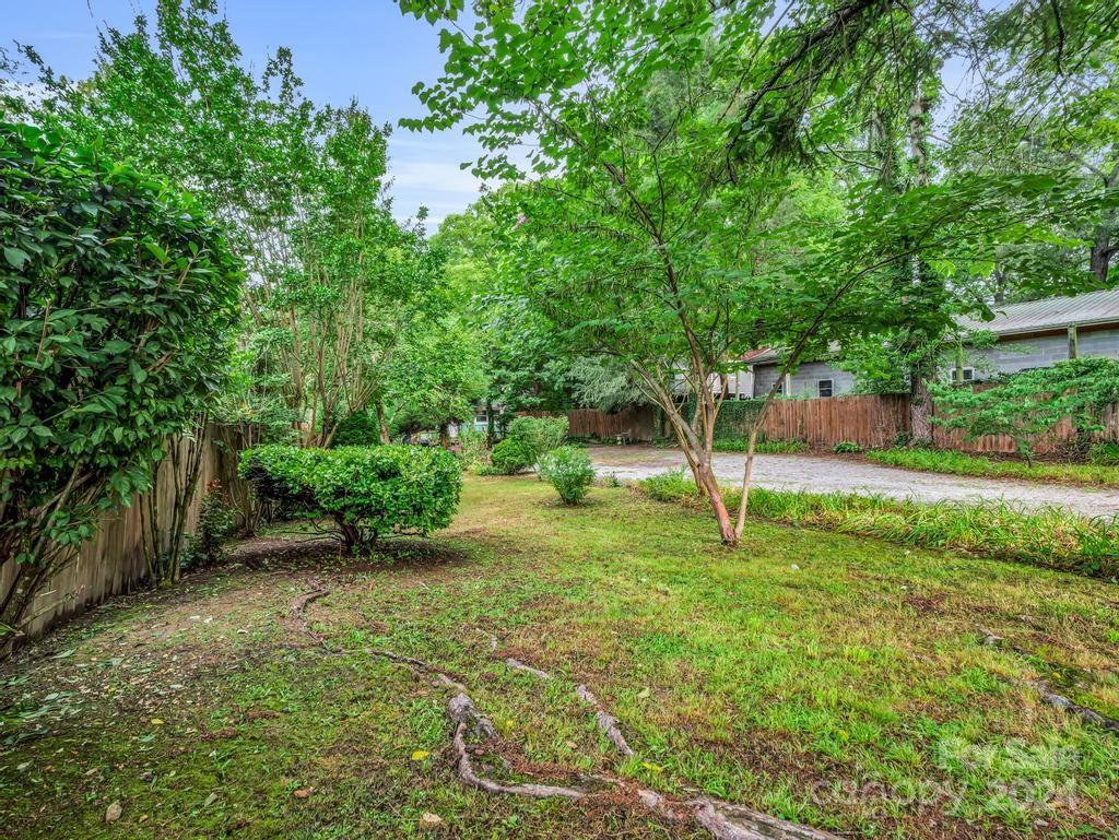 Backyard with mature trees, trimmed shrubs, a patchy lawn, and a wooden fence.