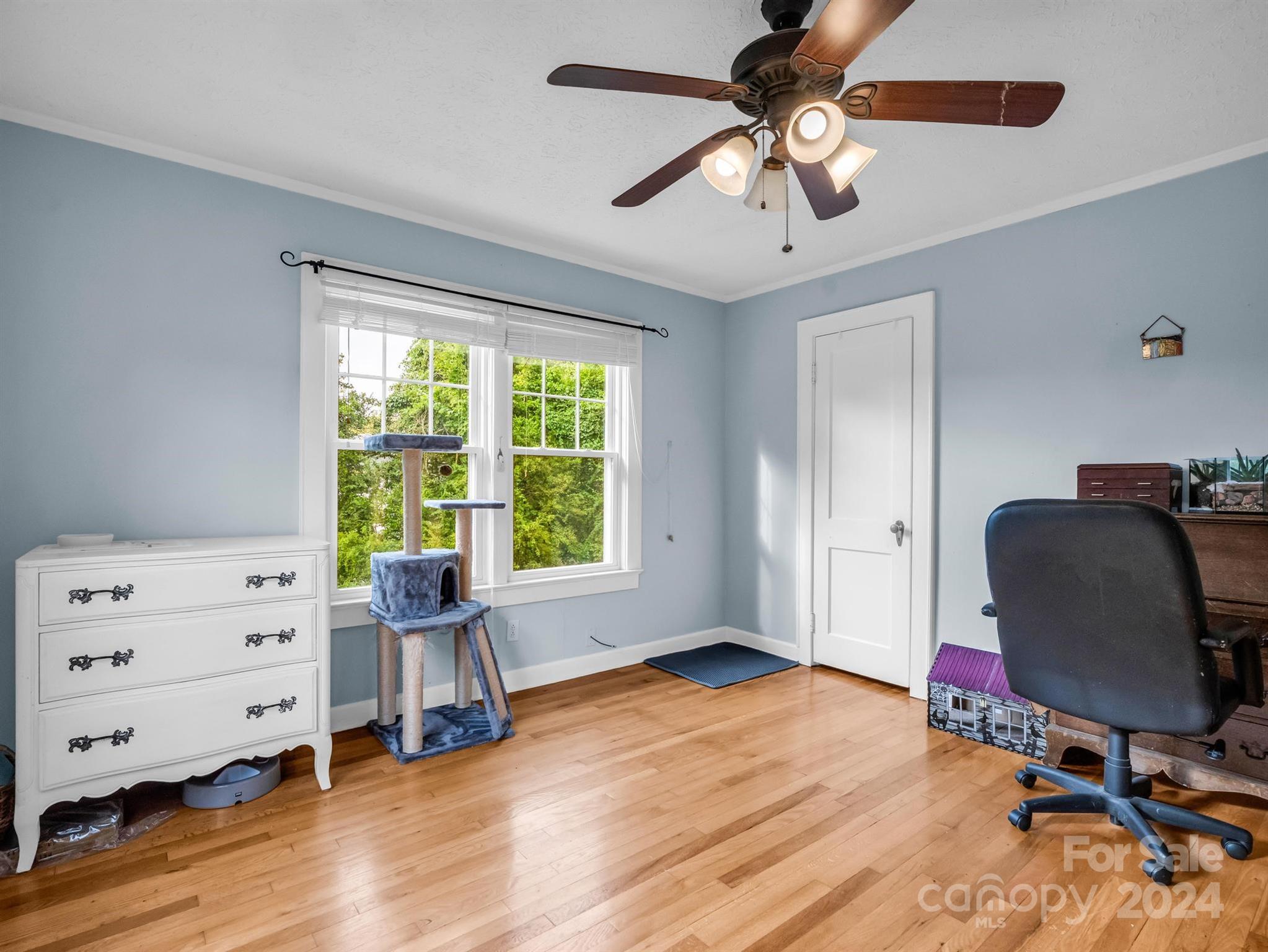 Blue-walled bedroom or office with hardwood floors, a cat tree by the window, white dresser, and desk chair.