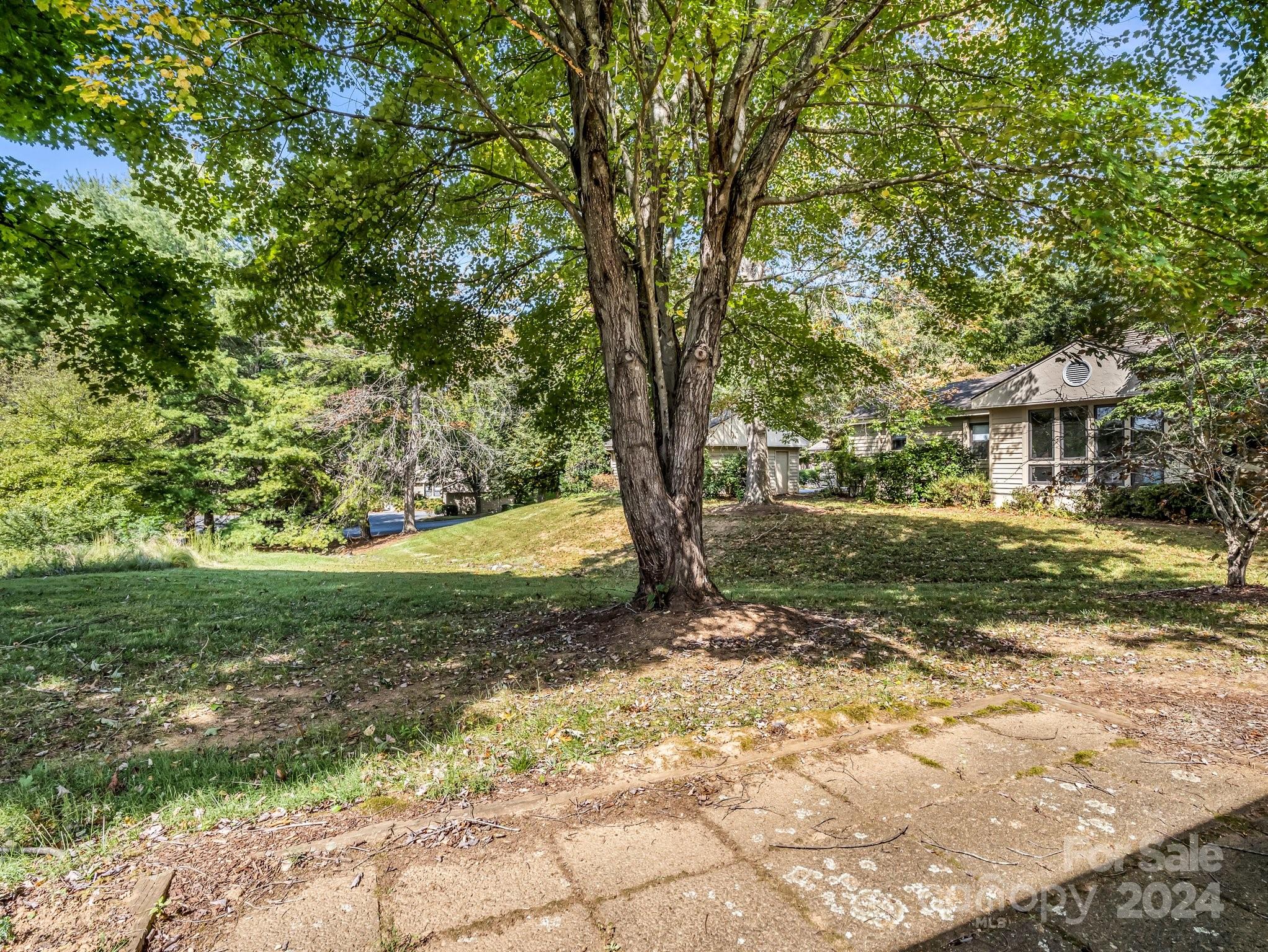 Tree-shaded yard beside a house, with a large mature tree and stone patio.