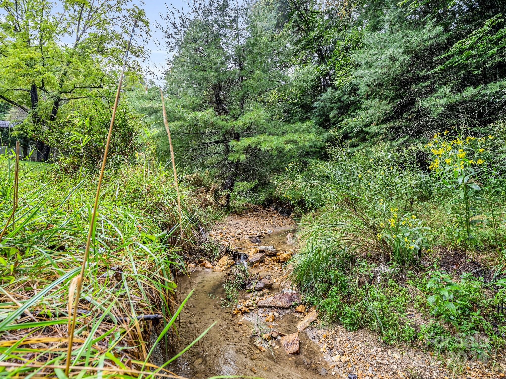 270 Mills River Way