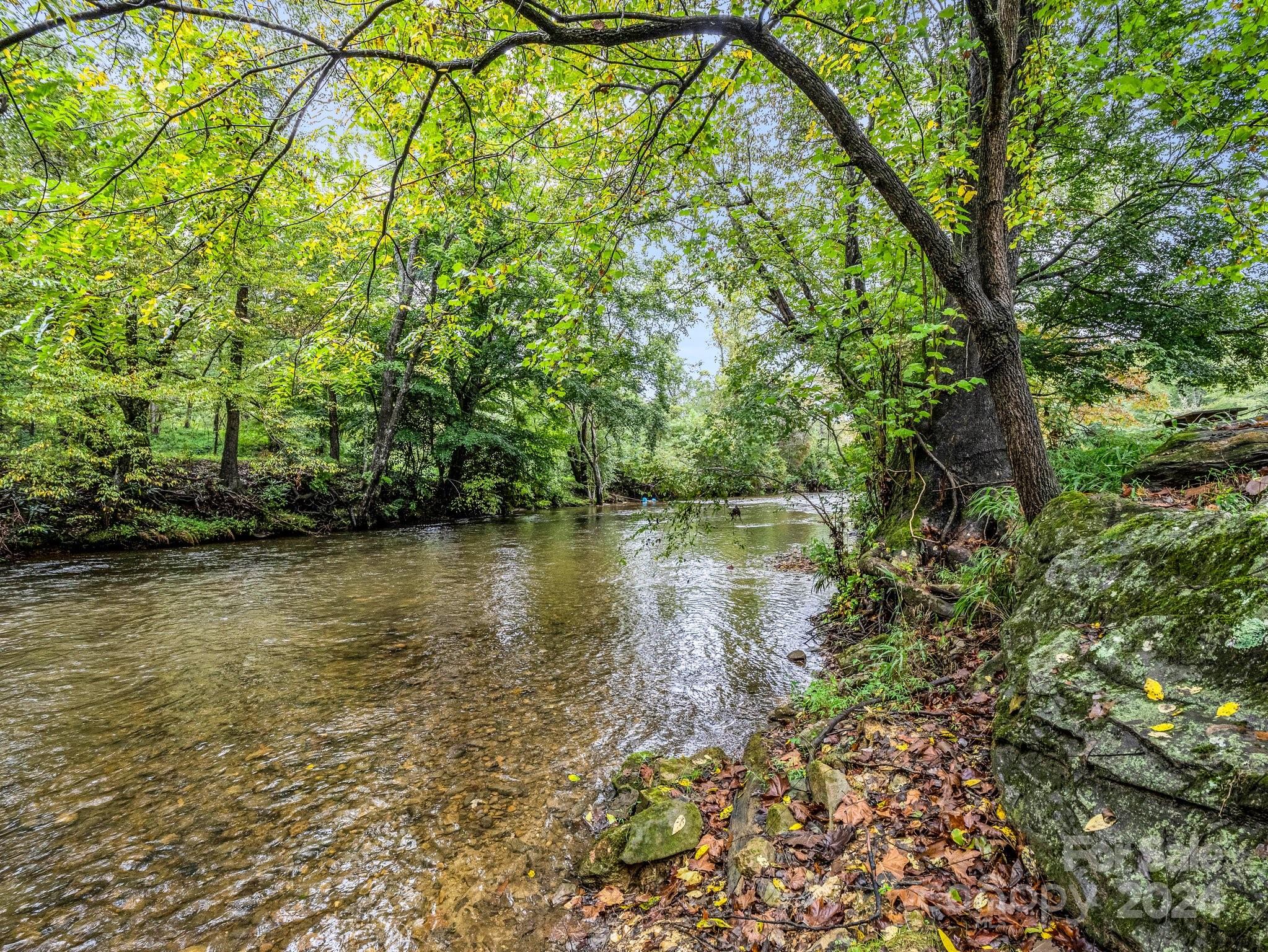 270 Mills River Way