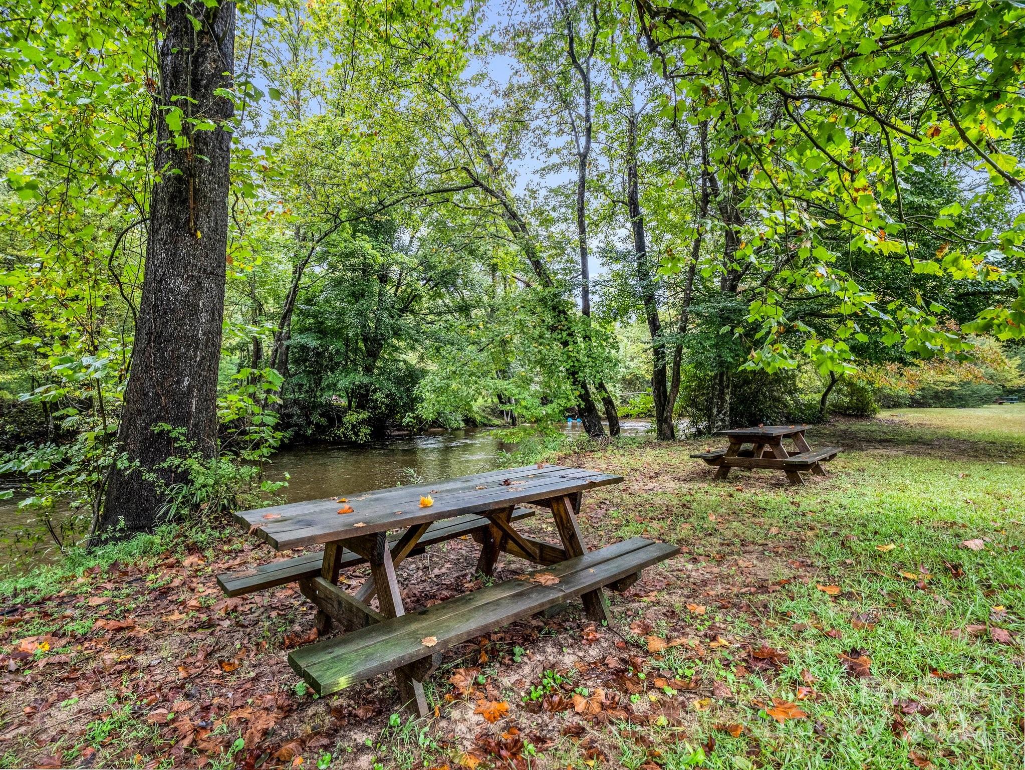 270 Mills River Way