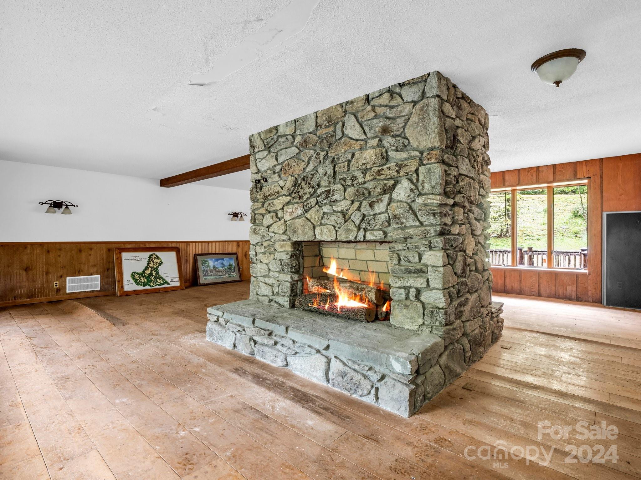 270 Mills River Way