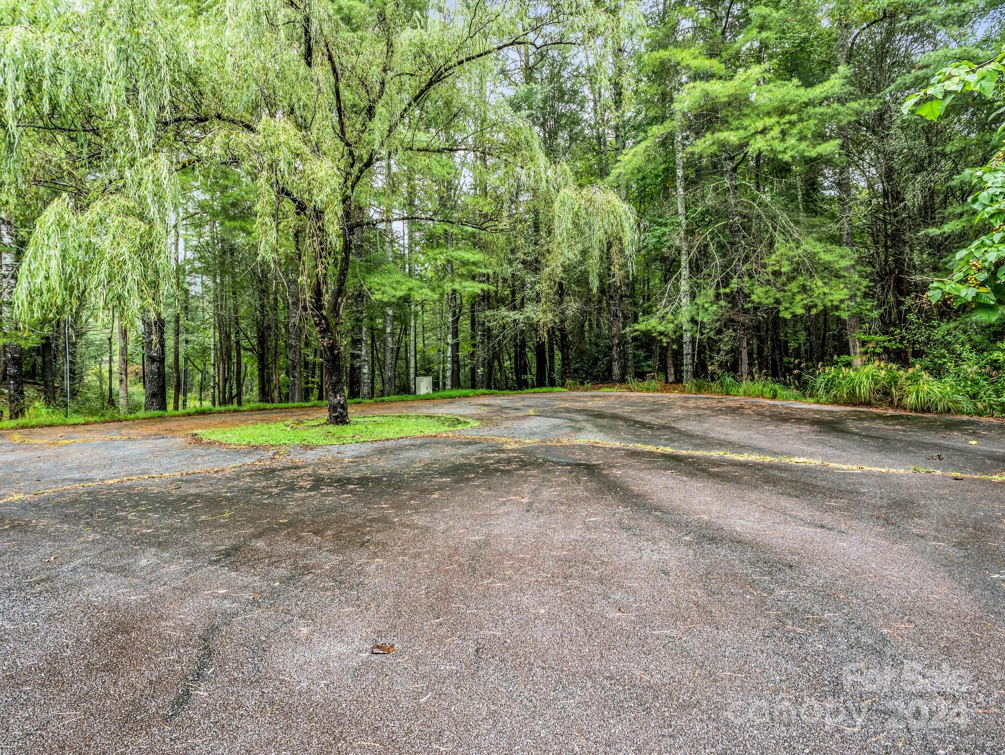270 Mills River Way