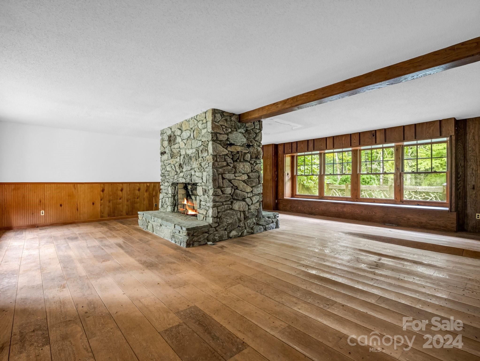 270 Mills River Way