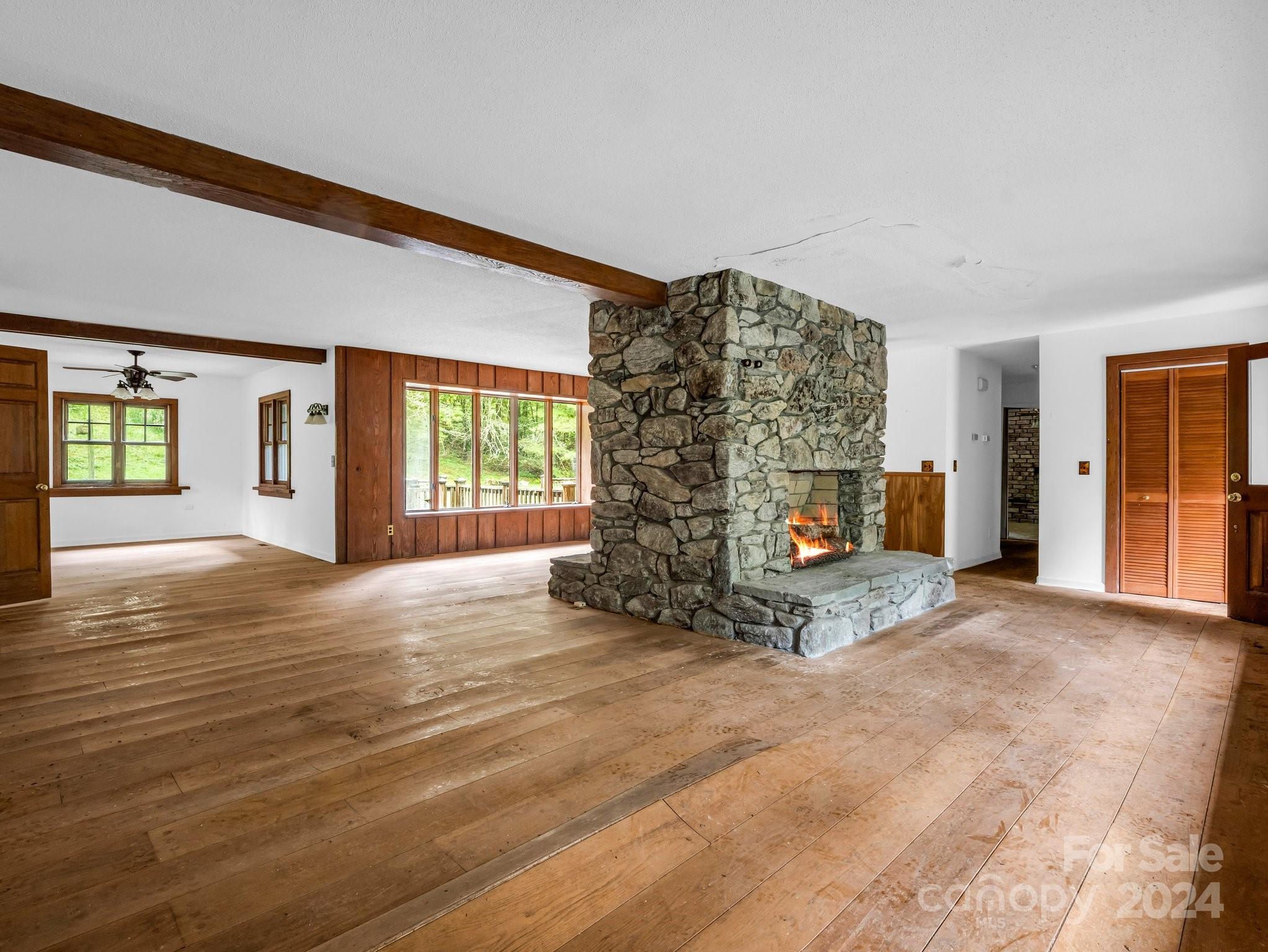 270 Mills River Way