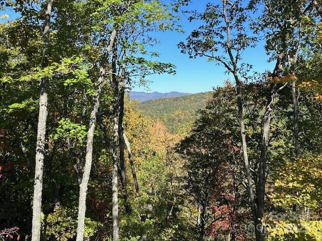 371 E Falls View Drive