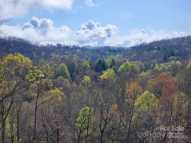 371 E Falls View Drive