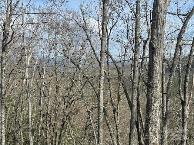 371 E Falls View Drive