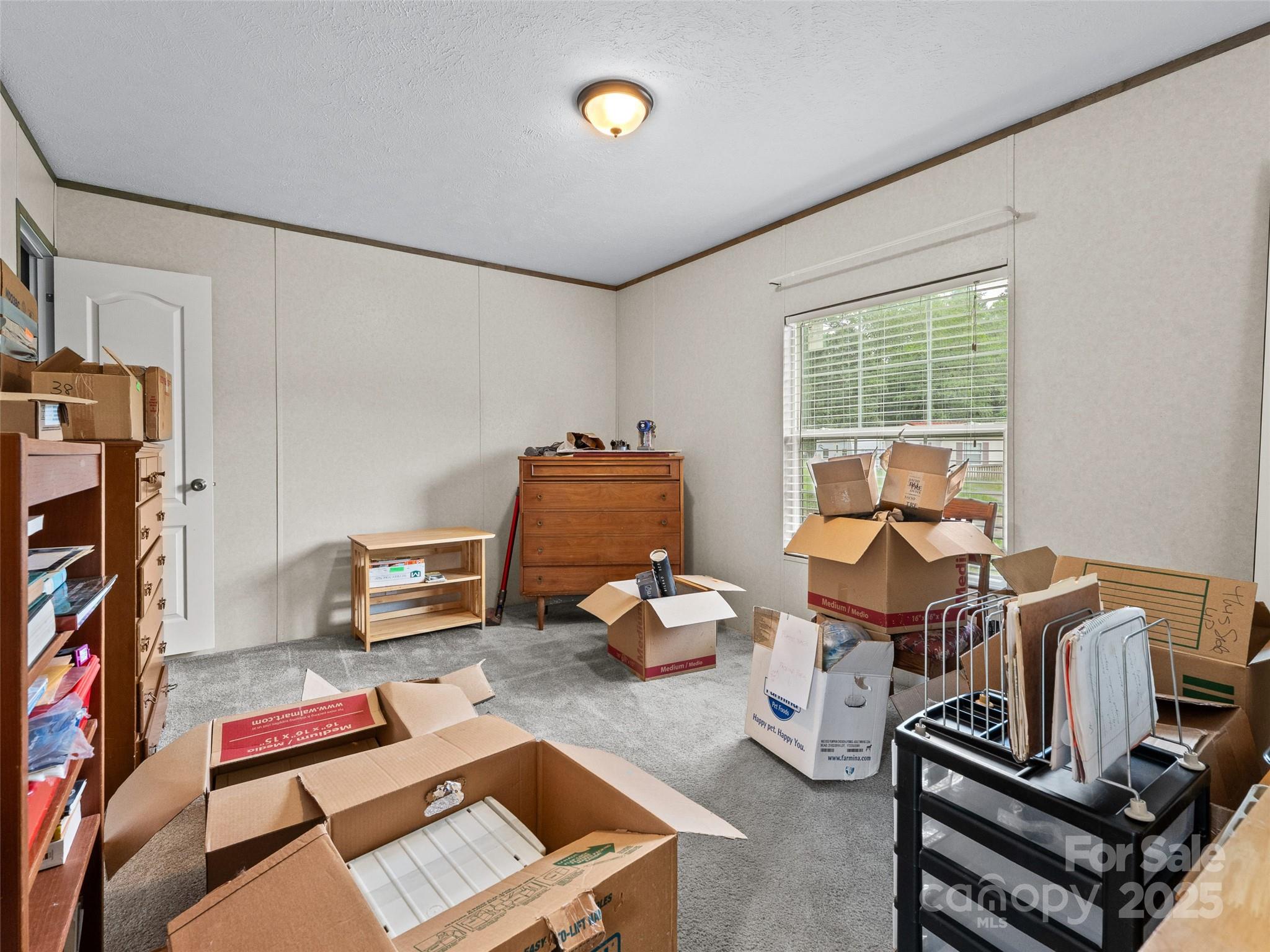 38 Kemp Road