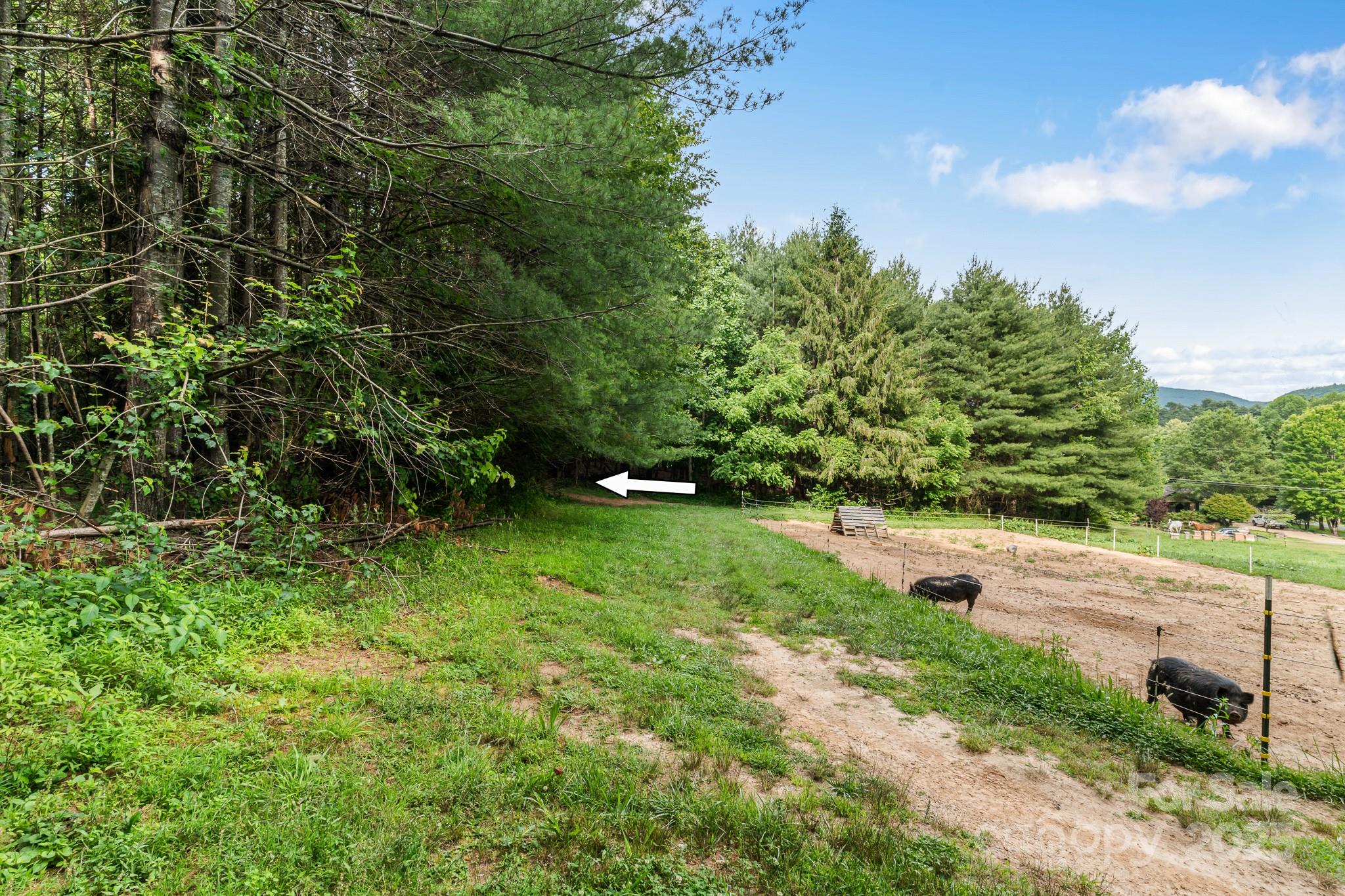 TBD Whitener Road Unit: Parcel 2