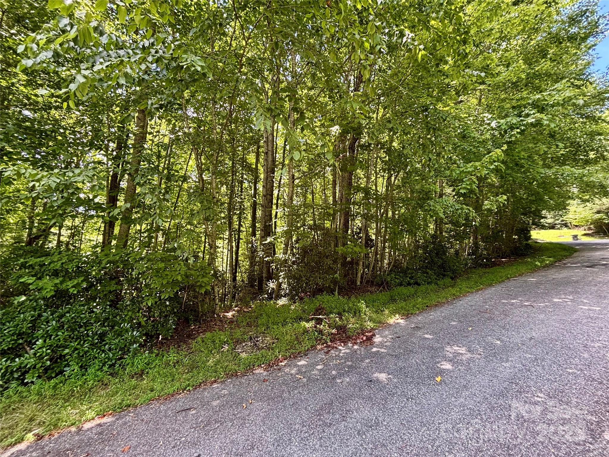 0 Laurel Forest Drive